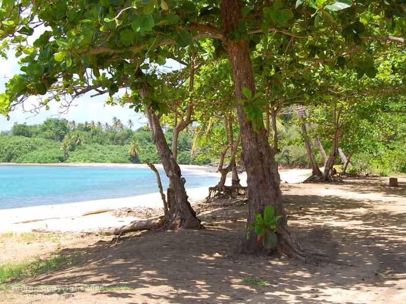 Hotel Calibishie Cove Extérieur photo